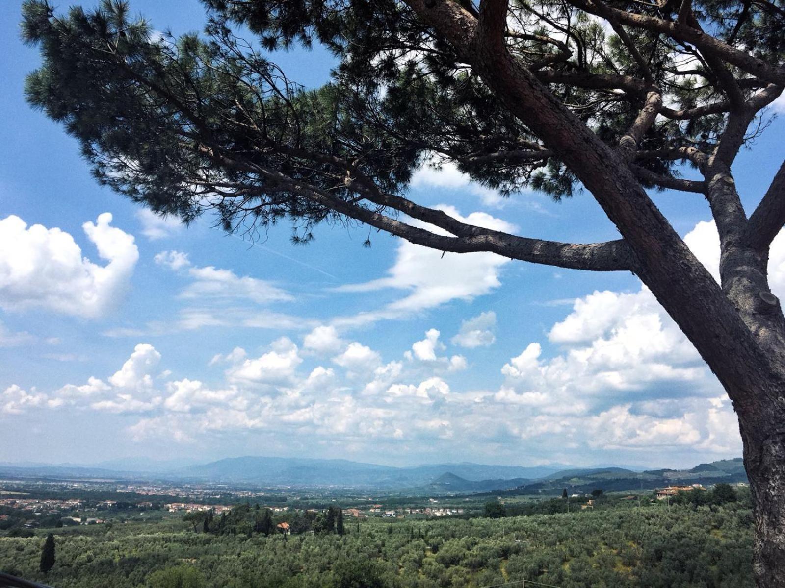 Agriturismo Podere Rondinaio Lamporecchio Ngoại thất bức ảnh