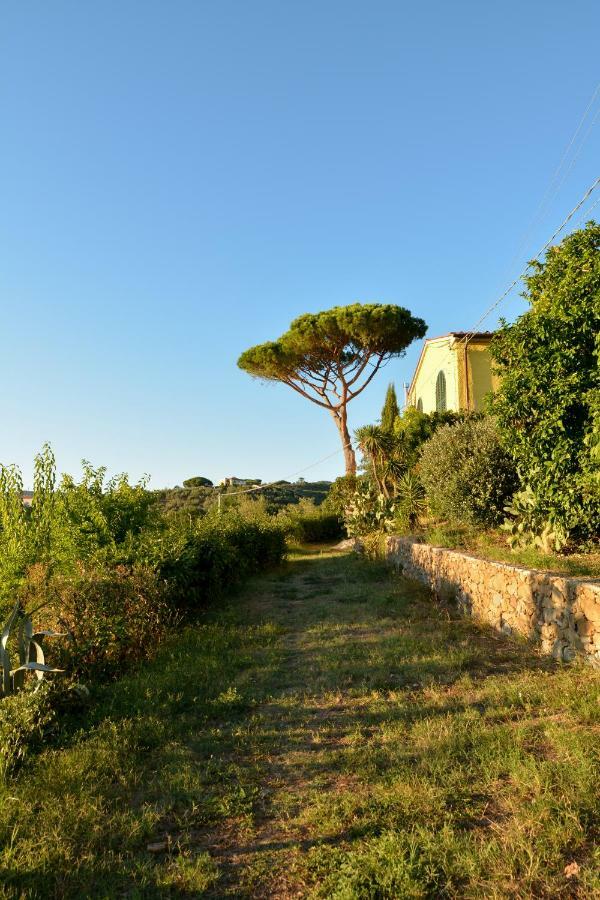 Agriturismo Podere Rondinaio Lamporecchio Ngoại thất bức ảnh