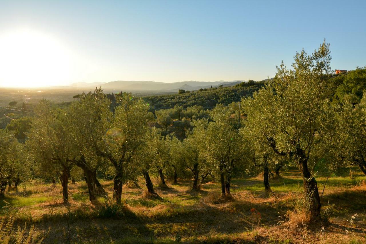 Agriturismo Podere Rondinaio Lamporecchio Ngoại thất bức ảnh